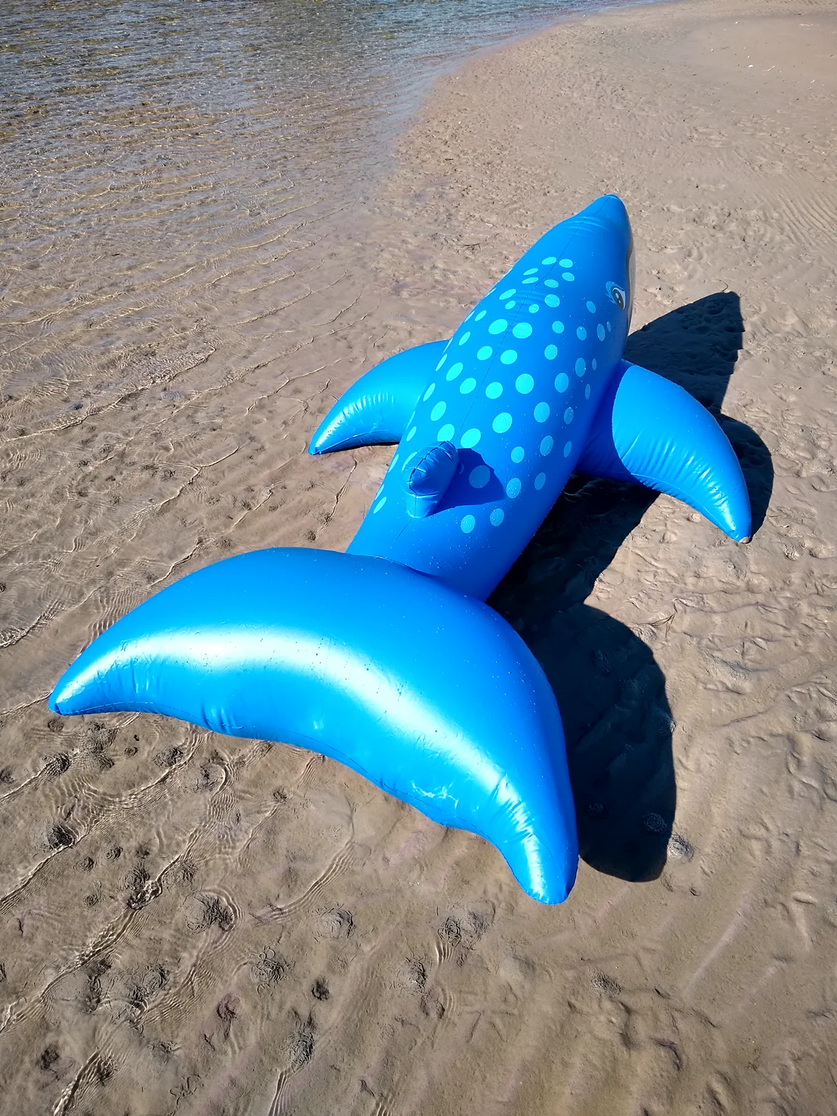 Classic 1990s inflatable blue whale ride-on - Image 3